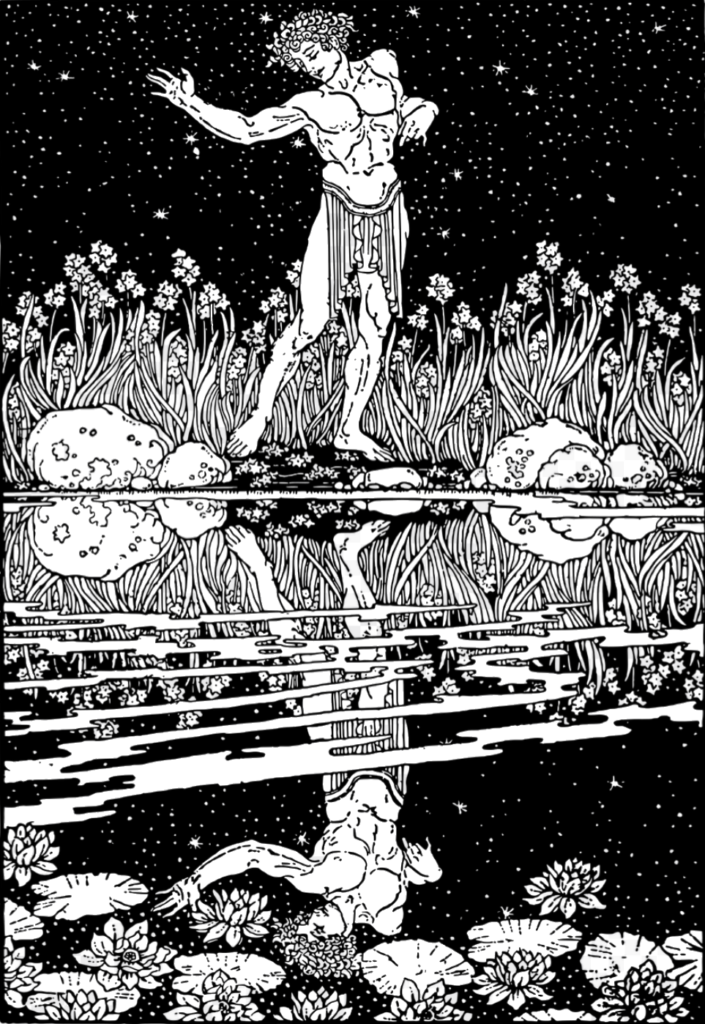 pervers narcissique PN maladie mentale parasitage énergétique